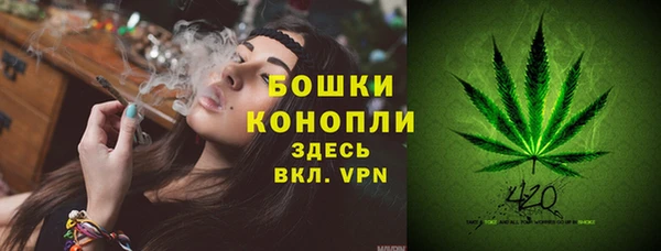 трава Армянск