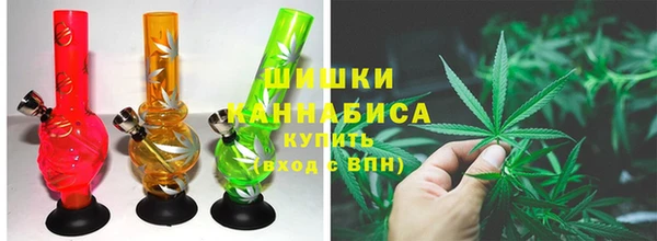 трава Армянск