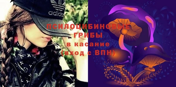 трава Армянск